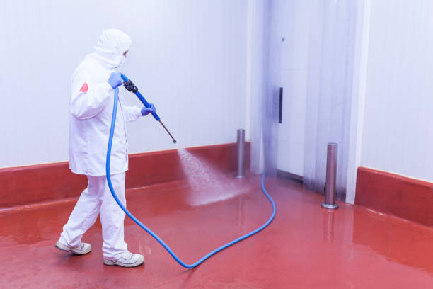 Best Factory Floor Cleaning  in Kaibito, AZ